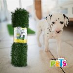 Repuesto-Pasto-P-Doggie-Grass-Grande