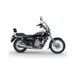 Avenger-Cruise-220-Mod.-2024