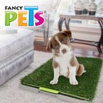 Doggie-Grass-Chico