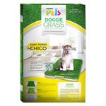 Doggie-Grass-Chico