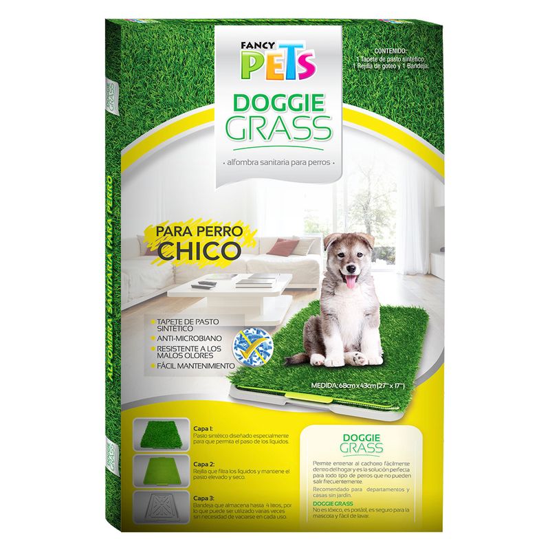 Doggie-Grass-Chico