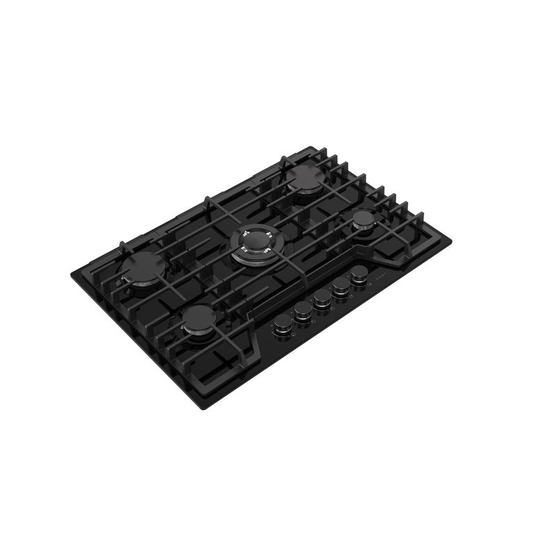 PARGA5VT_1