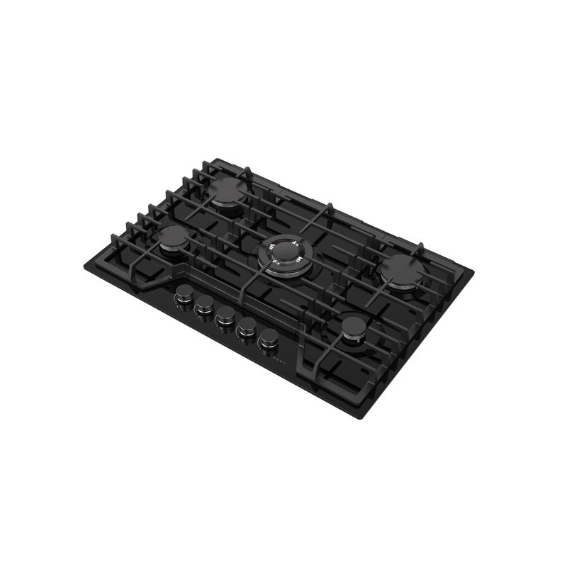 PARGA5VT_2