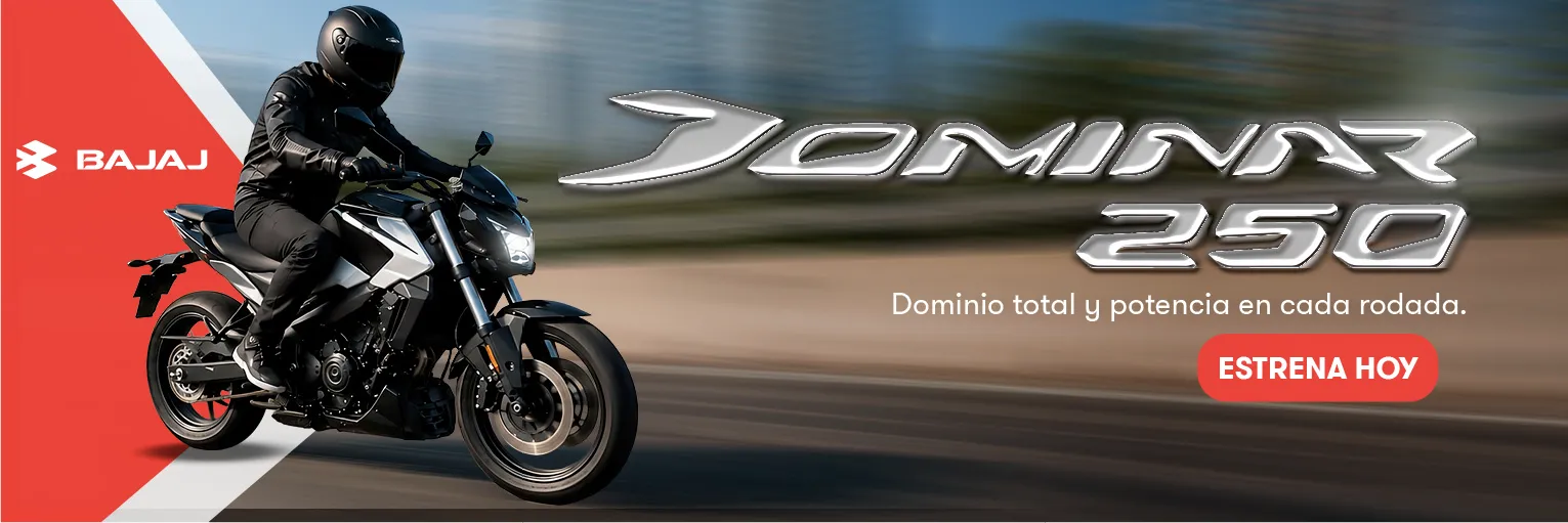 Motocicleta Bajaj Dominar N250